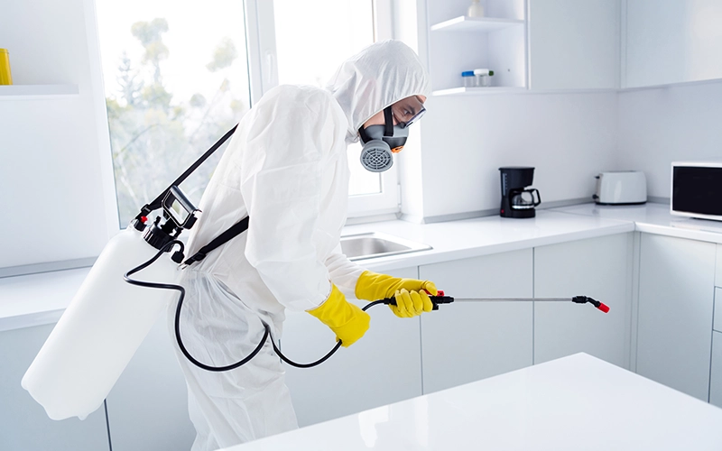 Safe, Botanical, and Effective Solutions