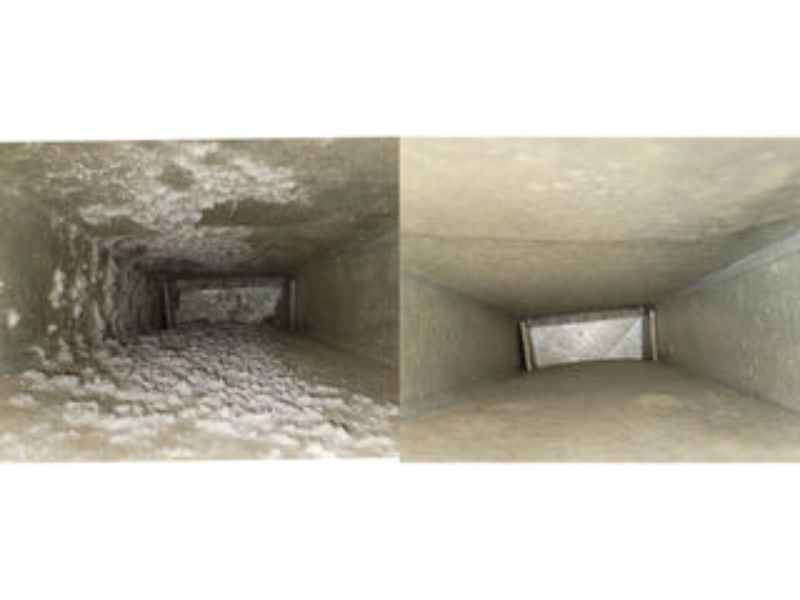 gallery7
